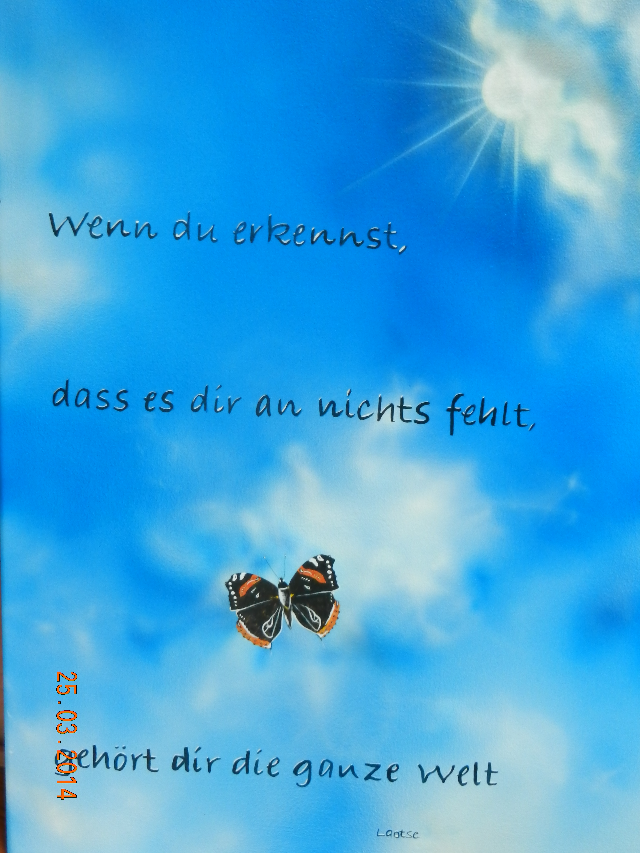Download Schmetterling spruch bilder Free
